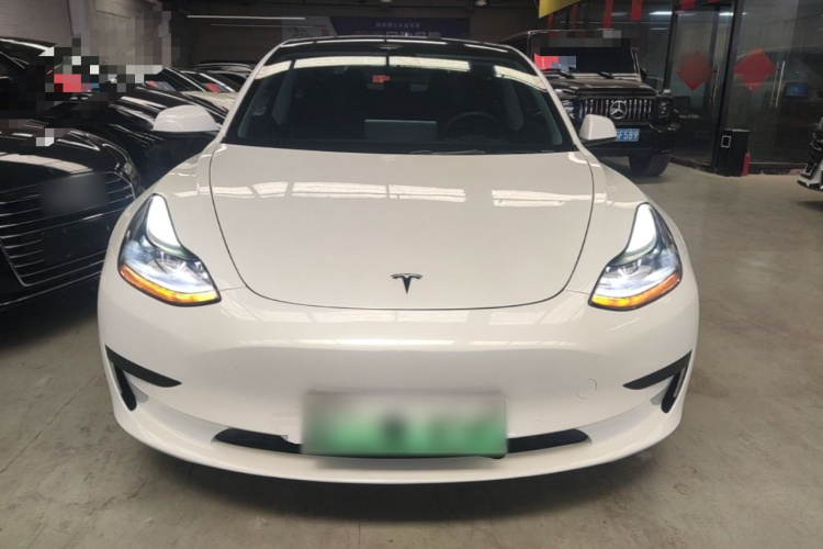 Tesla Model 3 2021 #3 Tesla Model 3 2021 car image #3