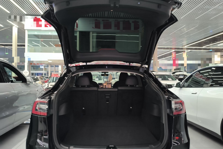 Tesla Model Y 2021 #21 Tesla Model Y 2021 صورة سيارة #21