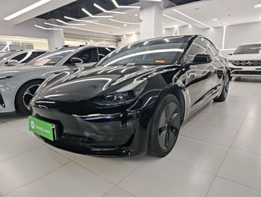 Tesla Model 3 2022 car image 