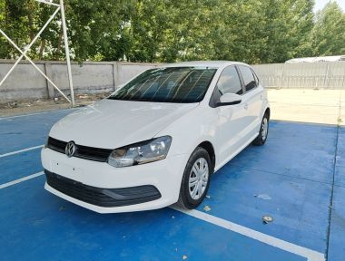 Volkswagen Polo 2015 car image 
