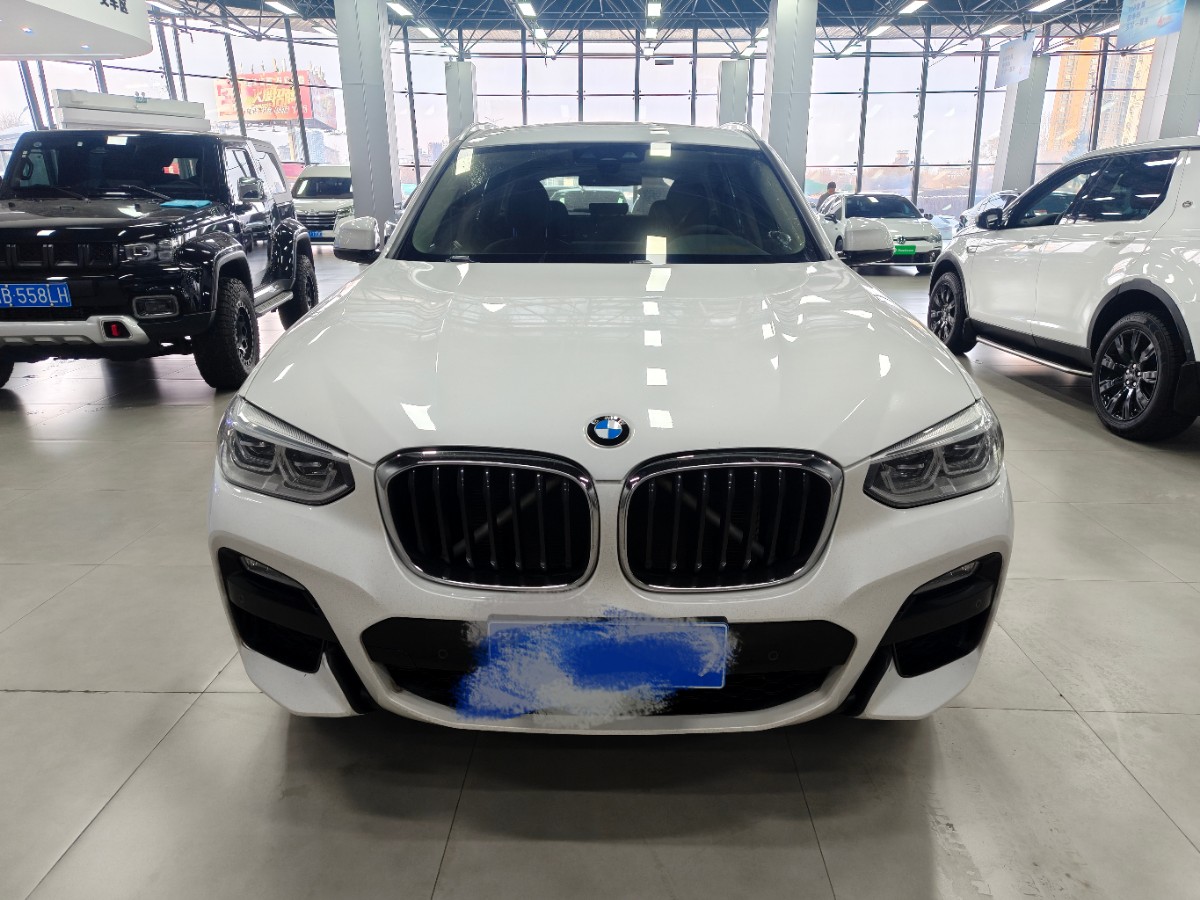 BMW X3 2019 #2 BMW X3 2019 immagine di auto #2