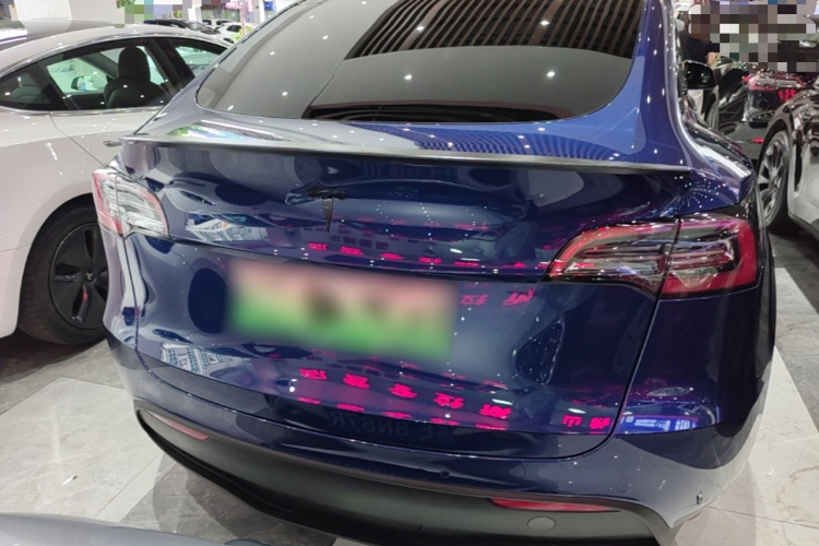 Tesla Model Y 2024 car image #6