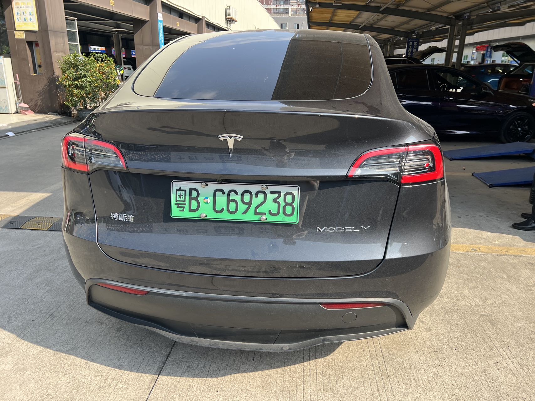 Tesla Model Y 2024 #8 Tesla Model Y 2024 car image #8