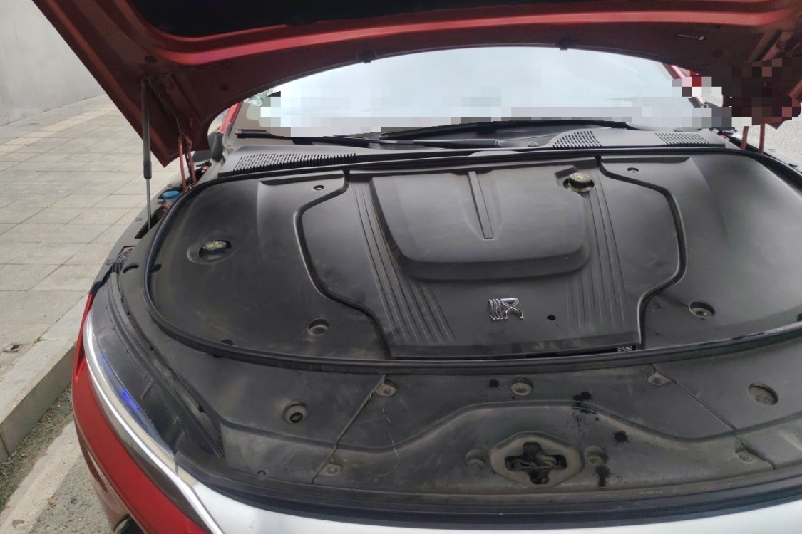 BYD Han 2020 #11 BYD Han 2020 immagine di auto #11