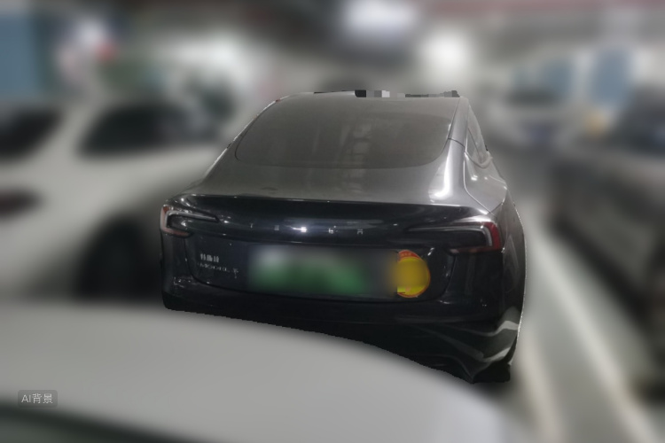 Tesla Model 3 2024 car image #6