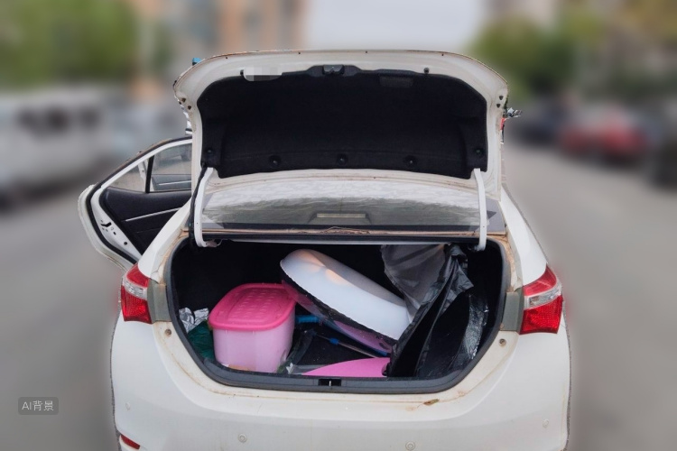 Toyota Corolla 2016 immagine di auto #21