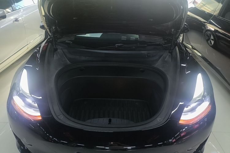 Tesla Model 3 2021 immagine di auto #22