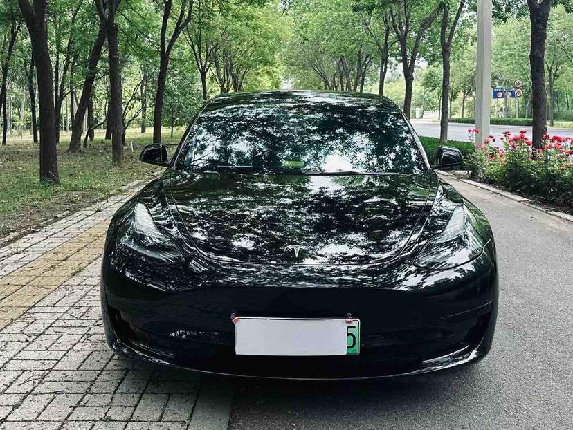 Tesla Model 3 2020 car image #2