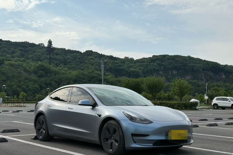 Tesla Model 3 2022 #3 Tesla Model 3 2022 car image #3