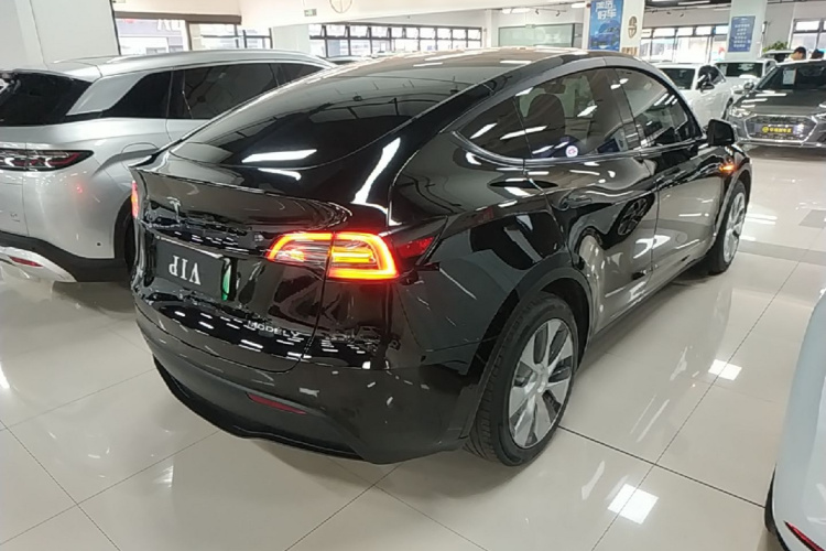 Tesla Model Y 2023 #7 Tesla Model Y 2023 car image #7