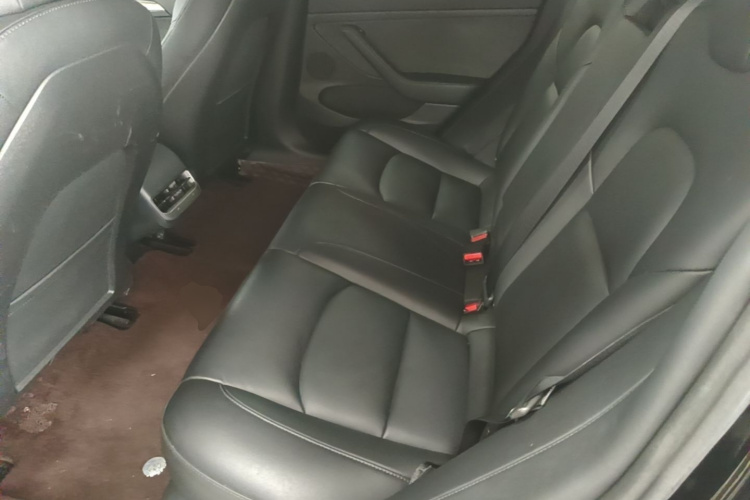Tesla Model 3 2021 صورة سيارة #17