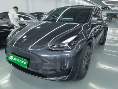 Tesla Model Y 2024 car image 
