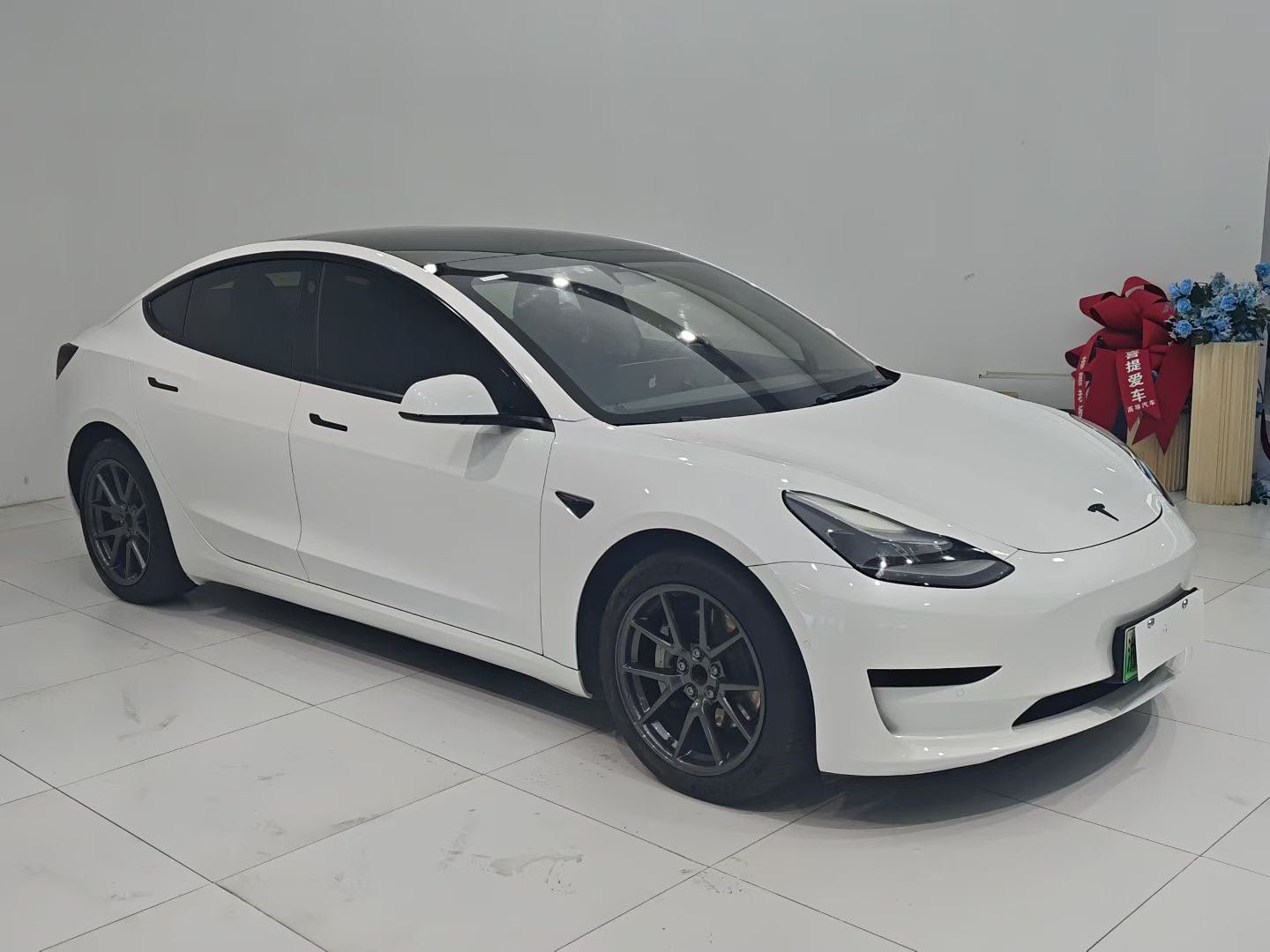 Tesla Model 3 2021 #3 Tesla Model 3 2021 car image #3