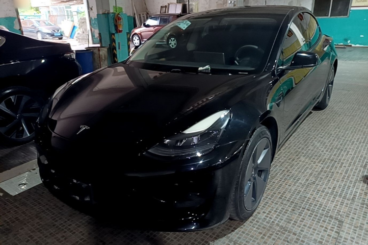 Tesla Model 3 2021 #2 Tesla Model 3 2021 car image #2