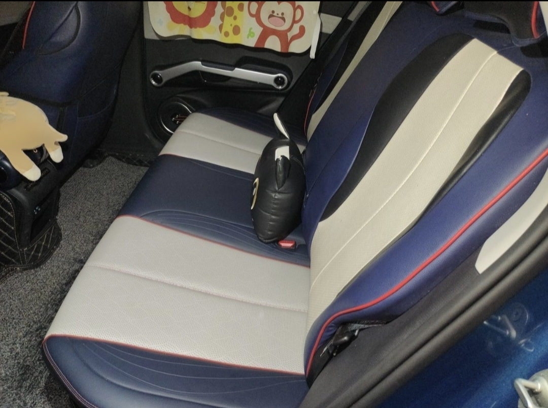 BYD Yuan Plus 2022 car image #7