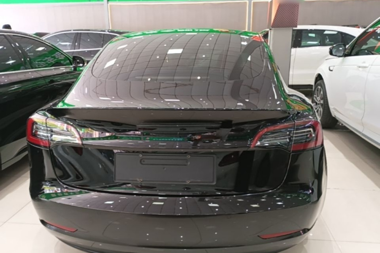 Tesla Model 3 2022 car image #6