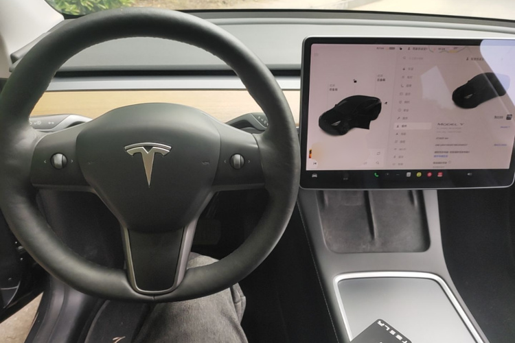 Tesla Model Y 2002 #10 Tesla Model Y 2002 car image #10