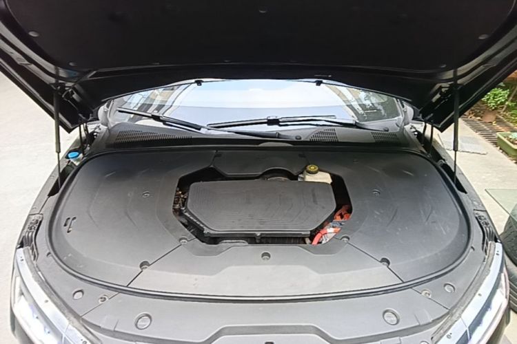 BYD Han 2020 #20 BYD Han 2020 immagine di auto #20