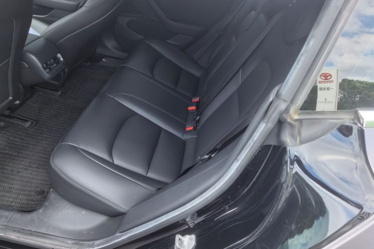 Tesla Model 3 2020 immagine di auto #19