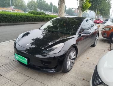 Tesla Model 3 2023 Tesla Model 3 2023 car image