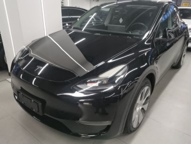 Tesla Model Y 2021 Tesla Model Y 2021 car image
