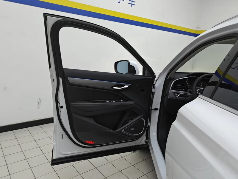 GEELY Tugella S 2021 imagem de carro #9