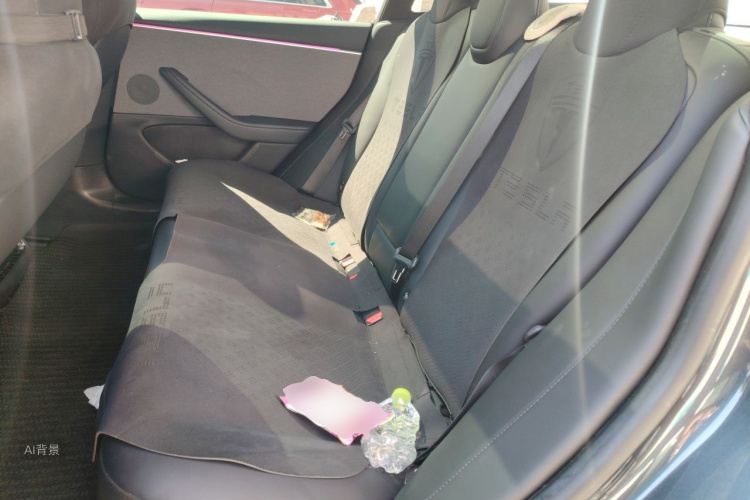 Tesla Model 3 2024 car image #19