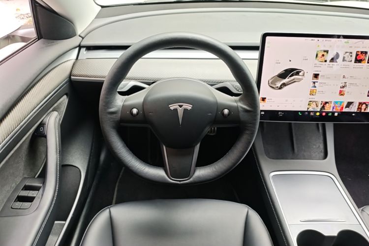 Tesla Model 3 2021 car image #11