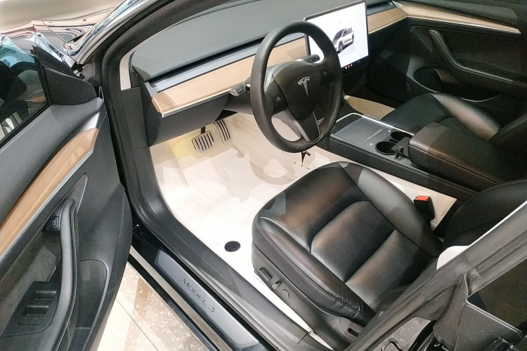Tesla Model 3 2022 car image #16