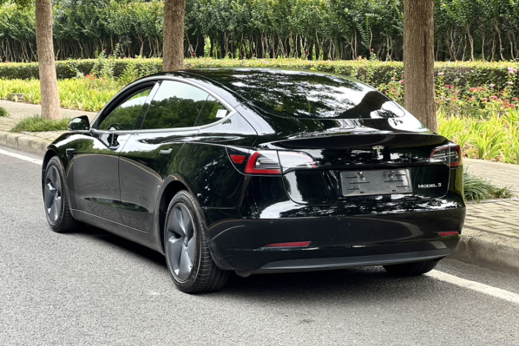 Tesla Model 3 2020 immagine di auto #6