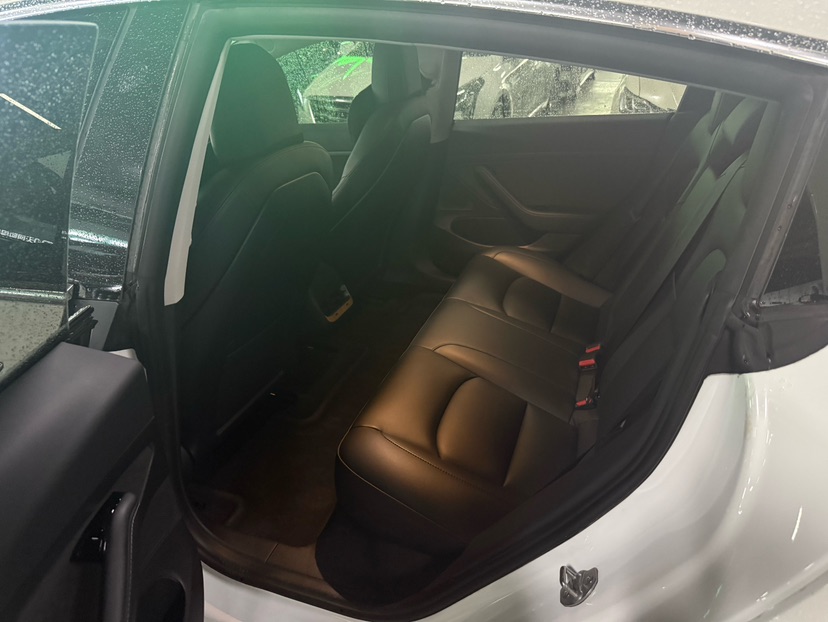 Tesla Model 3 2020 car image #6