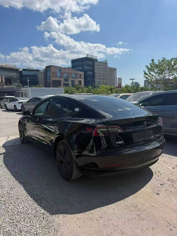 Tesla Model 3 2023 #3 Tesla Model 3 2023 immagine di auto #3