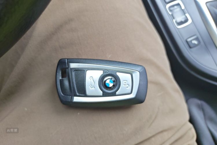 BMW 3 Series 2014 car image #10