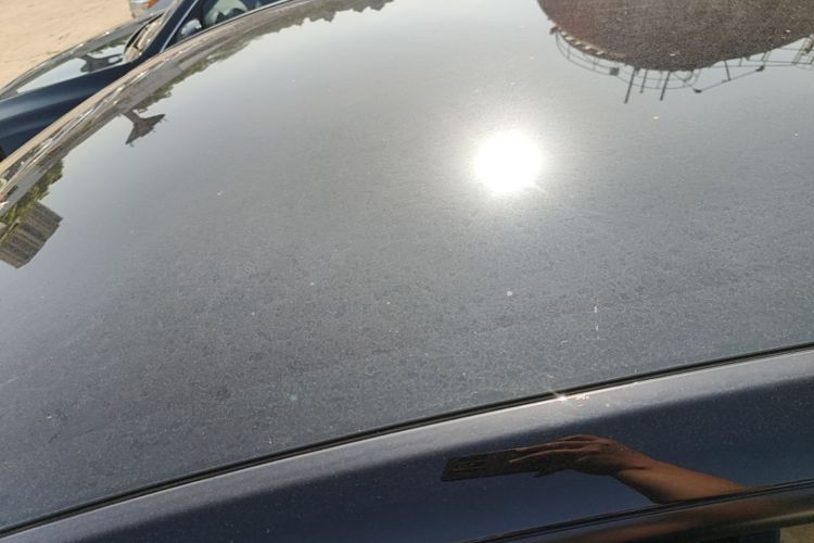 Tesla Model Y 2023 car image #25