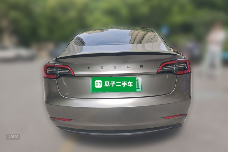 Tesla Model 3 2023 car image #6