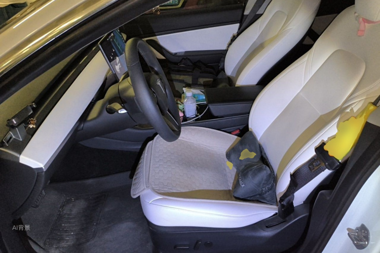 Tesla Model 3 2020 #17 Tesla Model 3 2020 car image #17