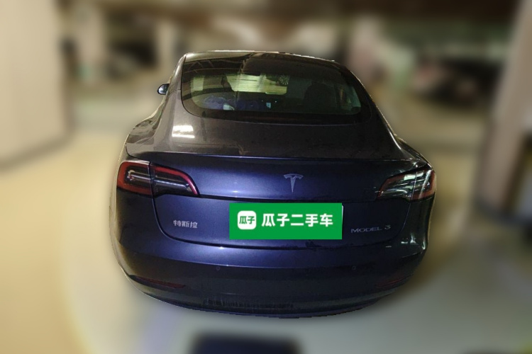 Tesla Model 3 2021 car image #6