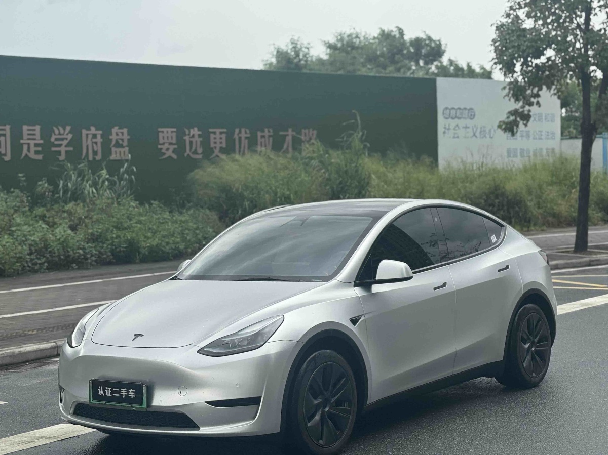 Tesla Model Y 2024 car image 