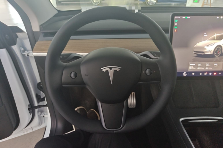 Tesla Model Y 2022 #11 Tesla Model Y 2022 car image #11