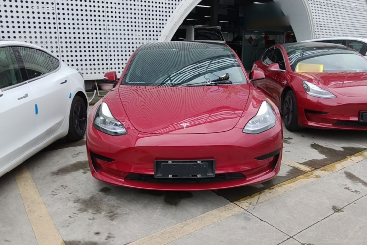 Tesla Model 3 2021 #3 Tesla Model 3 2021 car image #3