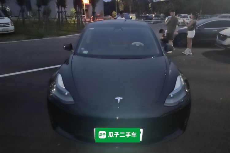 Tesla Model 3 2021 #3 Tesla Model 3 2021 car image #3