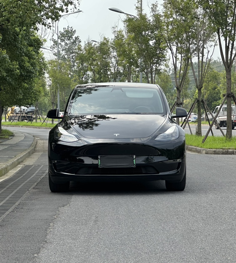Tesla Model Y 2021 #3 Tesla Model Y 2021 car image #3