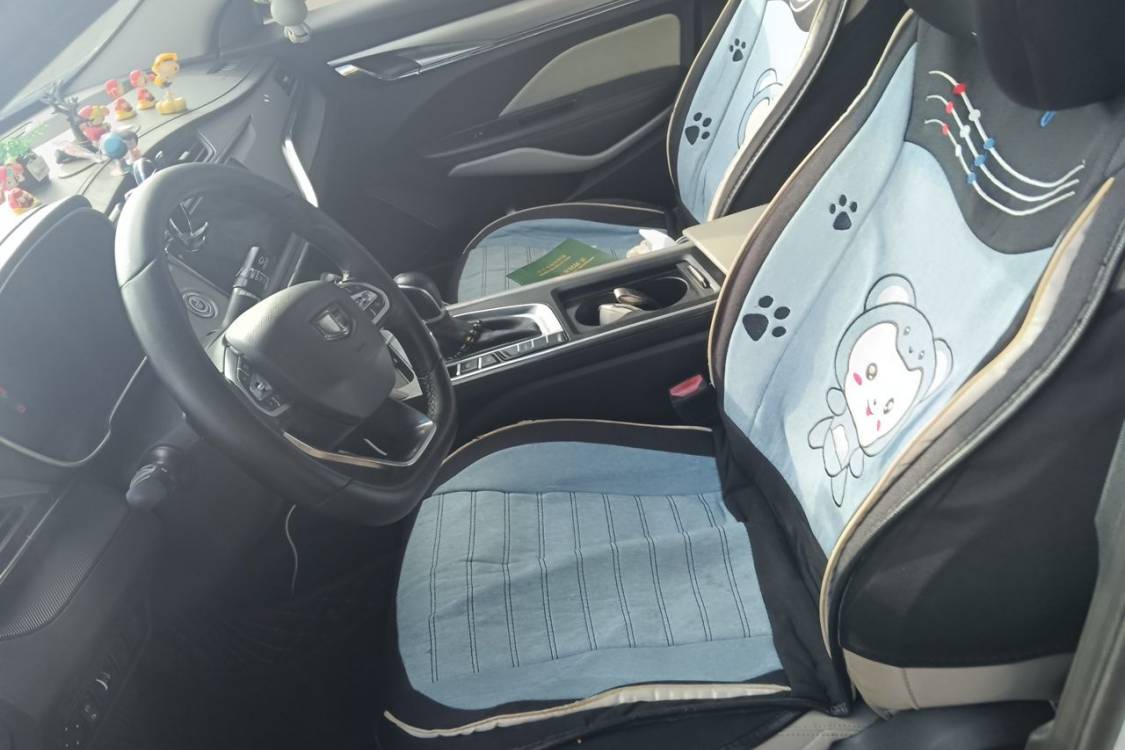 GEELY Binray 2018 imagen de coche #18