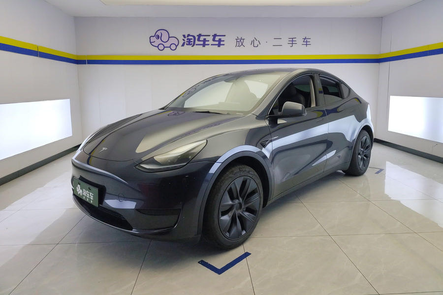 Tesla Model Y 2024 Tesla Model Y 2024 car image