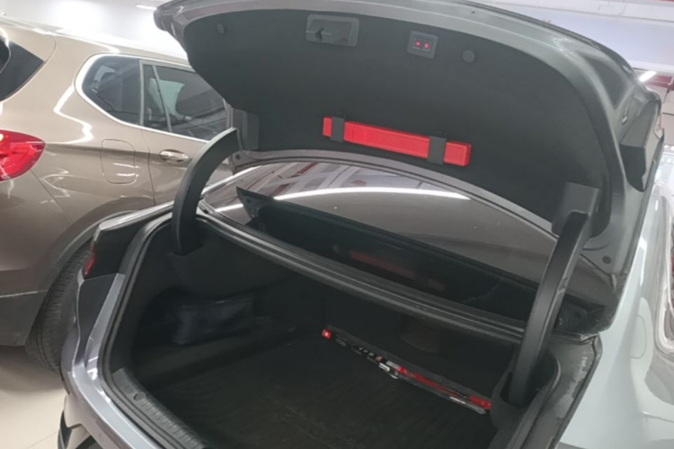 BYD Han 2022 #19 BYD Han 2022 immagine di auto #19