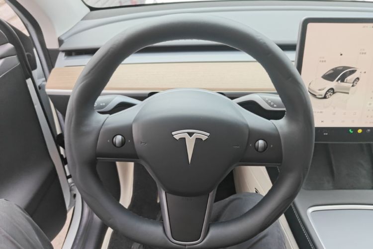 Tesla Model Y 2023 car image #11