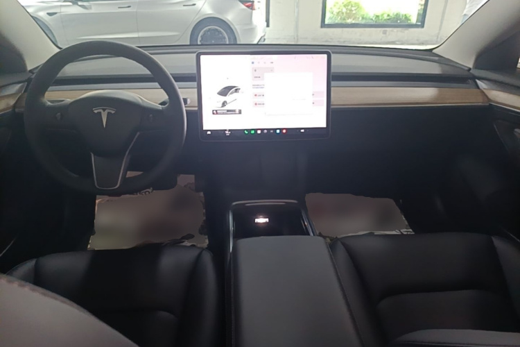 Tesla Model 3 2021 car image #10