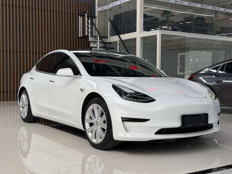 Tesla Model 3 2020 car image #3