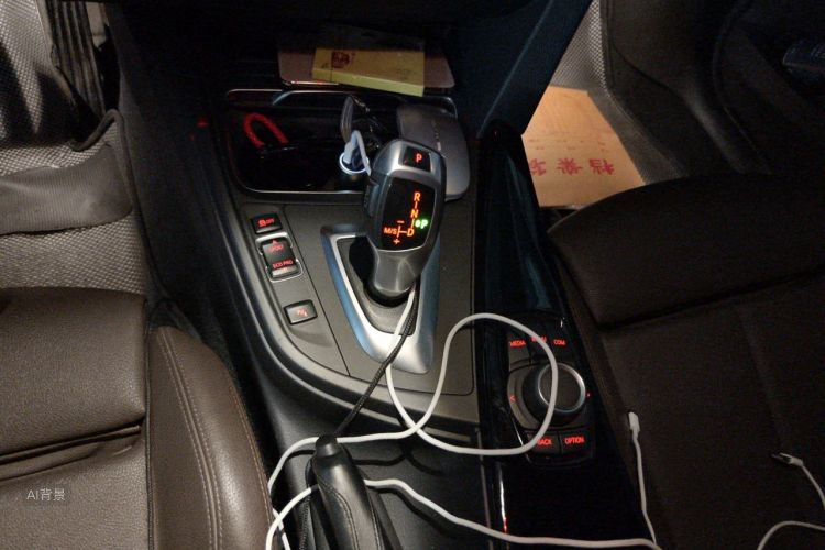 BMW 3 Series 2018 car image #16