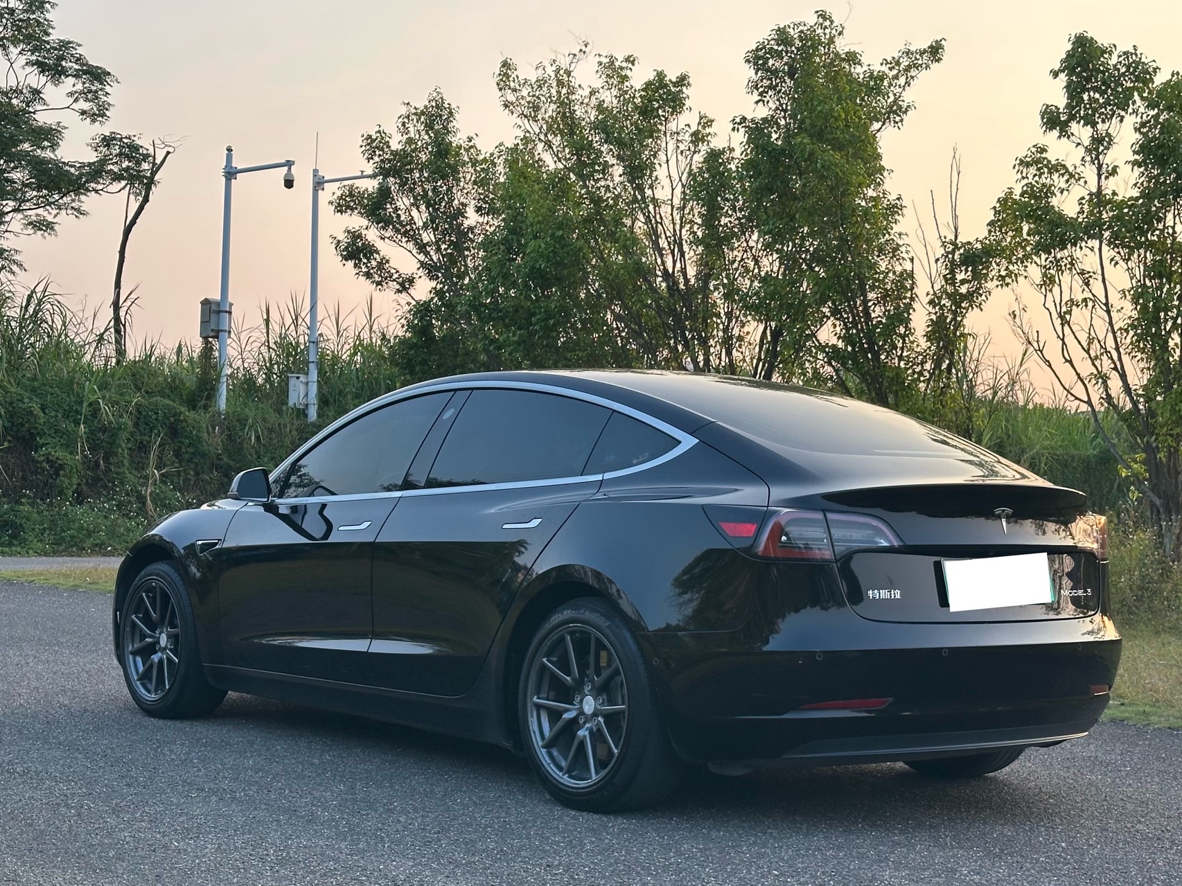 Tesla Model 3 2020 car image #6